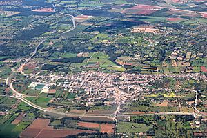 Aerial view of Llubí
