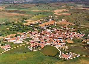 Vista aérea Villavente de la Sobarriba.jpg