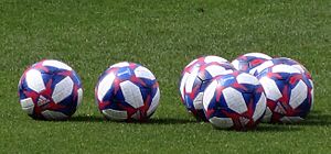 2019 Women's World Cup Ball