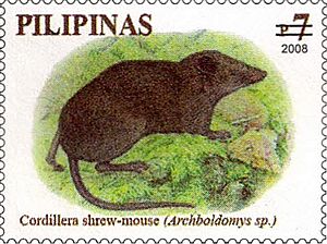 Archboldomys kalinga 2008 stamp of the Philippines.jpg