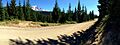 Babyshoe Pass along FR 23 Panorama