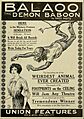 Balaoo the Demon Baboon 1913