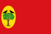 Flag of Leciñena