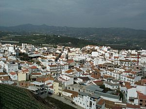 Benamocarra desde el Cerro de la Jaula.JPG