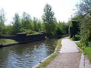 Bridge no more - Walsall Canal - geograph.org.uk - 902721