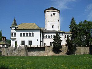 Budatin castle3