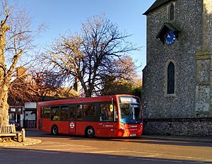 Bus 146 in Downe 2