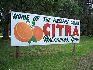 Citra welcome sign01