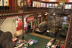 Cmglee Ipswich Museum interior