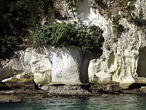 Coromandel-natural vase