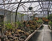 Desert Garden Conservatory interior