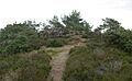 Devil's Jumps - geograph.org.uk - 17362
