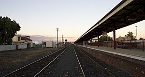 Dubbo NSW 2830, Australia - panoramio (52)