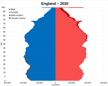 England Population pyramid estimate 2020.svg