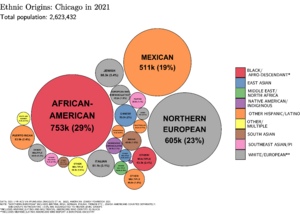 Ethnic Origins in Chicago