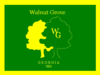 Flag of Walnut Grove, Georgia