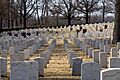 Fort Smith National Cemetery Jan2011