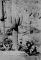 Fort Thomas Arizona Picnic 1886