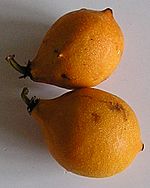 Fruta do Bacupari.jpg