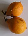 Fruta do Bacupari