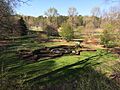 Greensboro Arboretum 2
