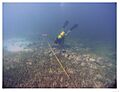 Herrera Shipwreck Site