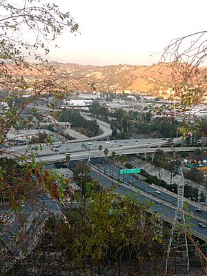 I-5 SR 110 interchange from Elysian Park