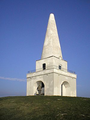Killiney Hill Obelisk 2