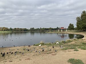 Lake Balboa, the namesake of the Lake Balboa neighborhood