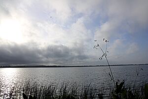 Lake Hancock Florida West June 2024.jpg