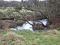 Lea Meadows 8