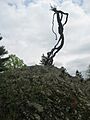 Lincoln, MA, USA - panoramio