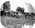 Loading fish at Wyresdale Fishery 1900