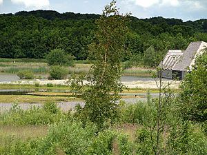 Meadow Lake and Visitor Village, Brockholes Nature Reserve (geograph 4544668)