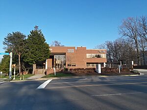 Merrifield Pediatric Dentistry and Avery Hess Realtors