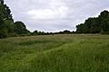 Mill Meadows, Billericay 5