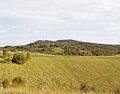 Mount Bonython