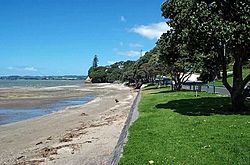 NZ-Howick-Beach