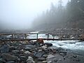 Nisqually River Wonderland Trail