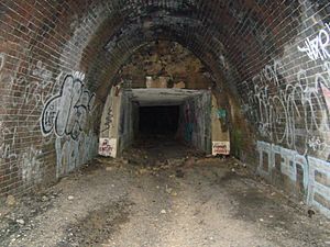 Otford Tunnel section