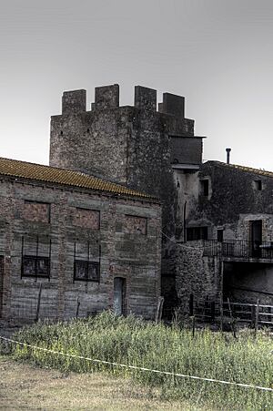 Palau-saverdera - Mas de la Torre