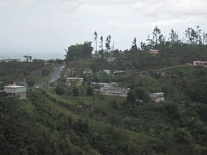Homes perched on mountainside in Perchas on PR-155 near Km 35.5