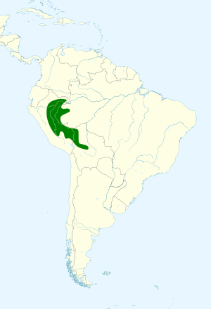 Pyrrhura roseifrons map.svg