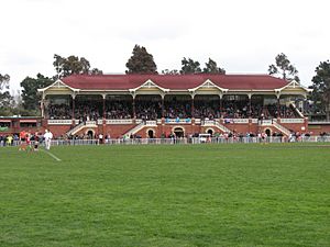 Queen Elizabeth Oval Bendigo VIC