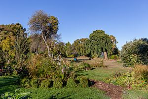 Richmond Community Garden, Richmond, Christchurch, New Zealand 26