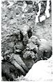 Russians bury their fallen. Kollaanjoki 15.-16.7. 1944. Kollaanjoki 15 to 16.7. 1944.