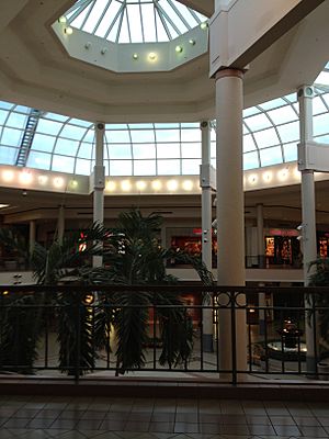 Savannah Mall Facts for Kids