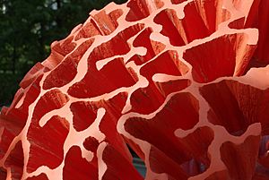 Sculpture Coquino Coral by Yvonne Domenge