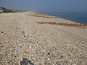 Selsey East Beach (2)