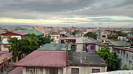 Signal Village Taguig 2